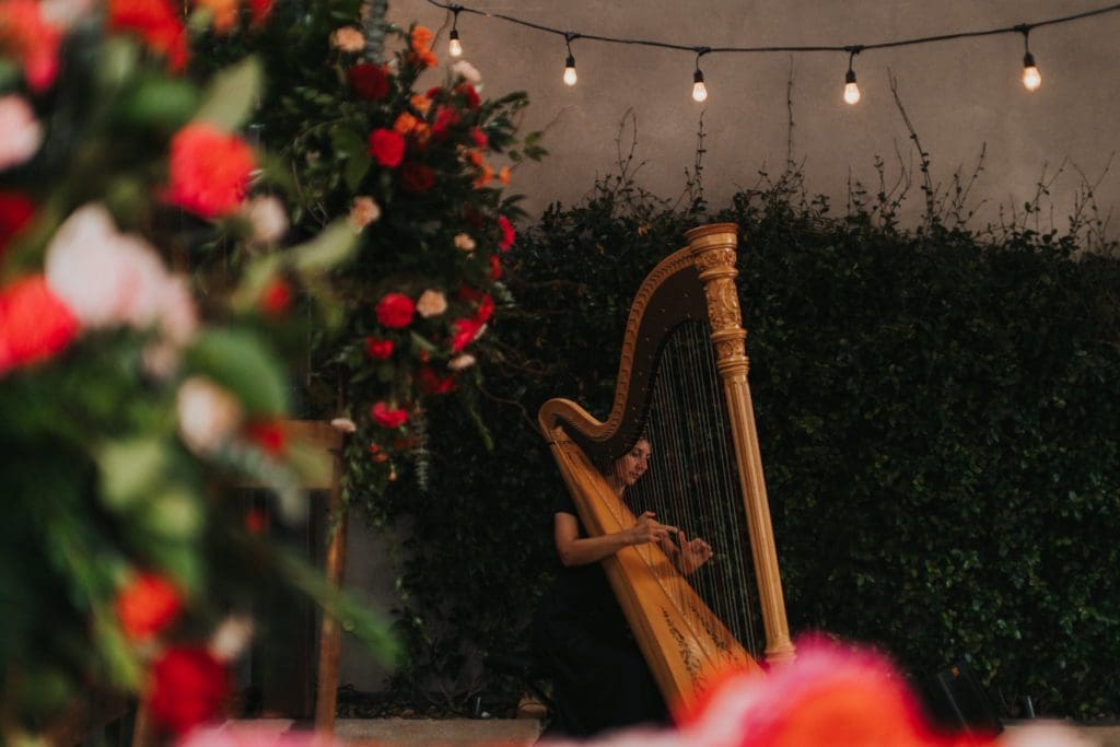 Harpist, Cathryn Daniels played beautifully during the ceremony